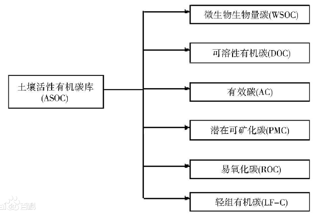 微生物生物量碳