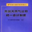 美國天然氣公司統一會計制度