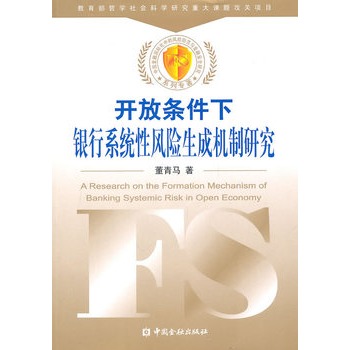 開放條件下銀行系統性風險生成機制研究