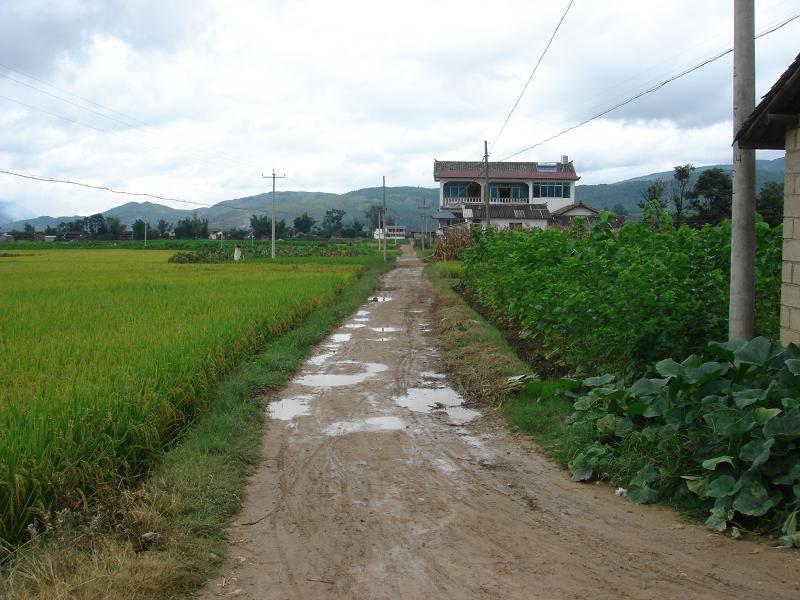 山後自然村(雲南保山施甸縣由旺鎮常村村委會山後自然村)