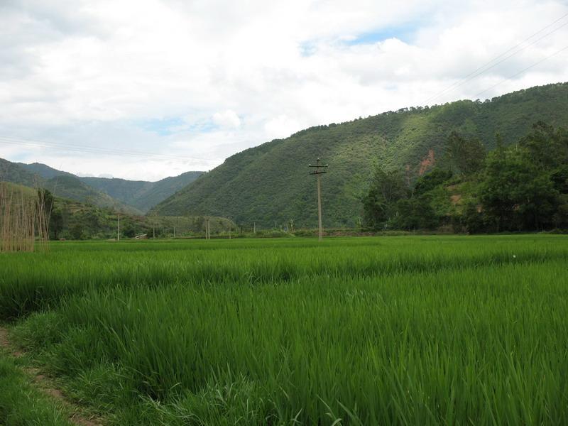 蘿蔔沖村