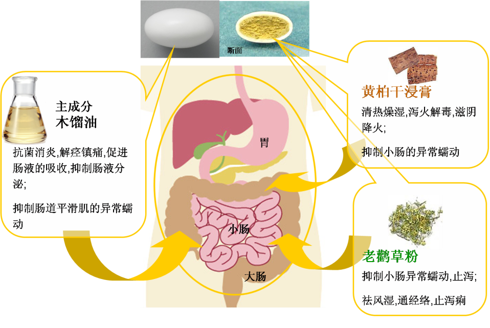 主要成分及藥效