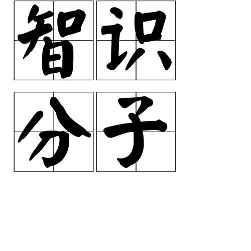 智識分子(詞語)