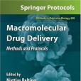 Macromolecular Drug Delivery