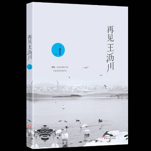 再見王瀝川(2018年浙江文藝出版社出版的圖書)