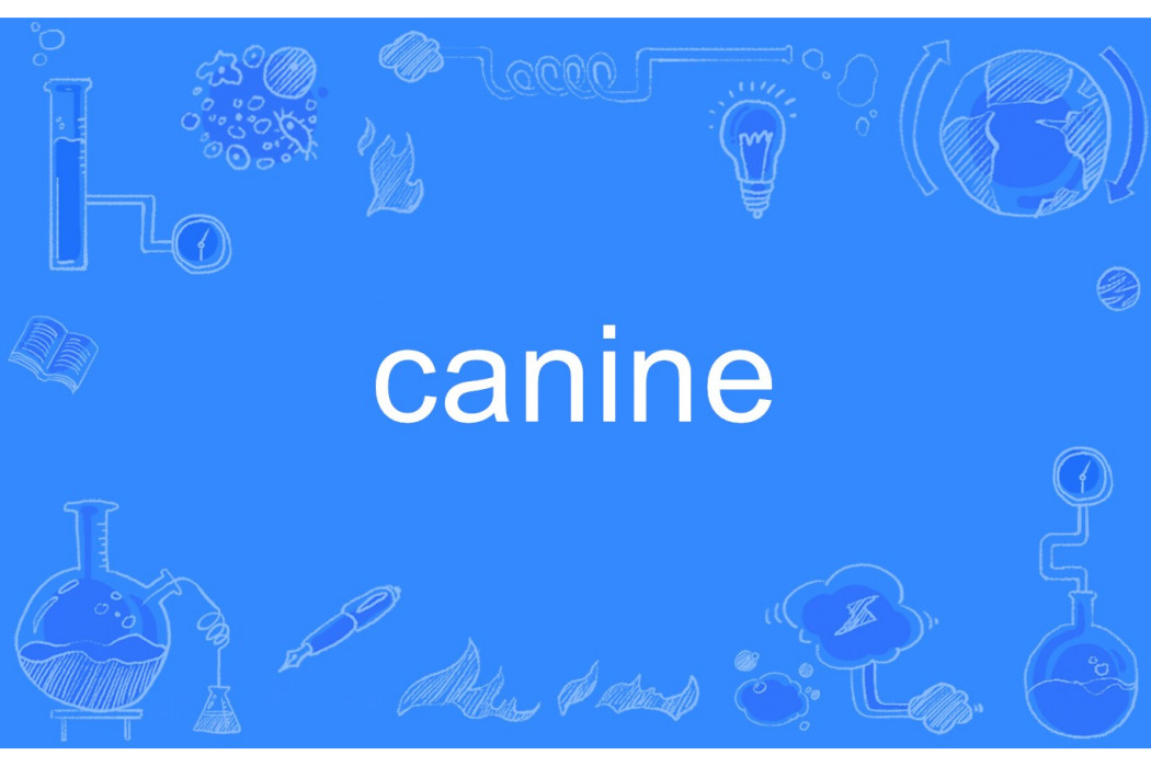 canine