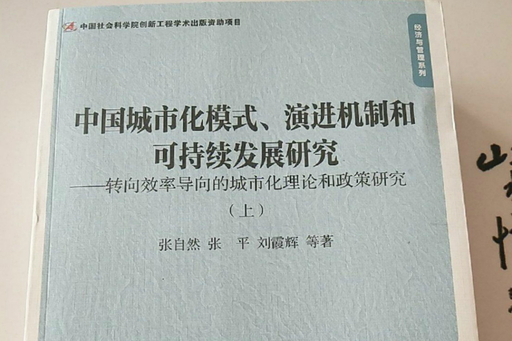 中國城市化模式、演進機制和可持續發展研究：轉向效率導向的城市化理論和政策研究