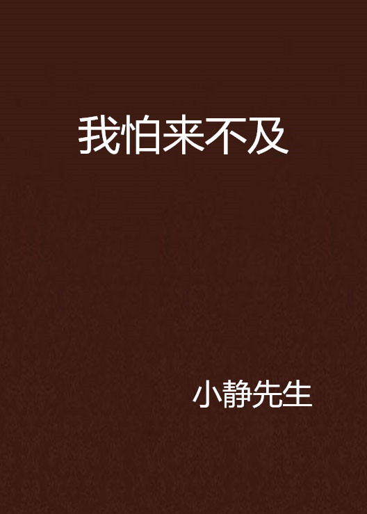 我怕來不及(小說)