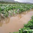 南山社區(浙江省定海區雙橋鎮南山社區)