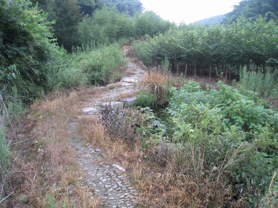 鄔姚大岙村古道