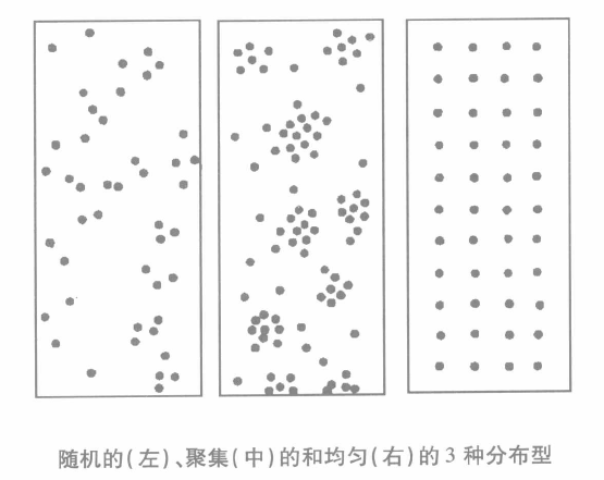 種群參數