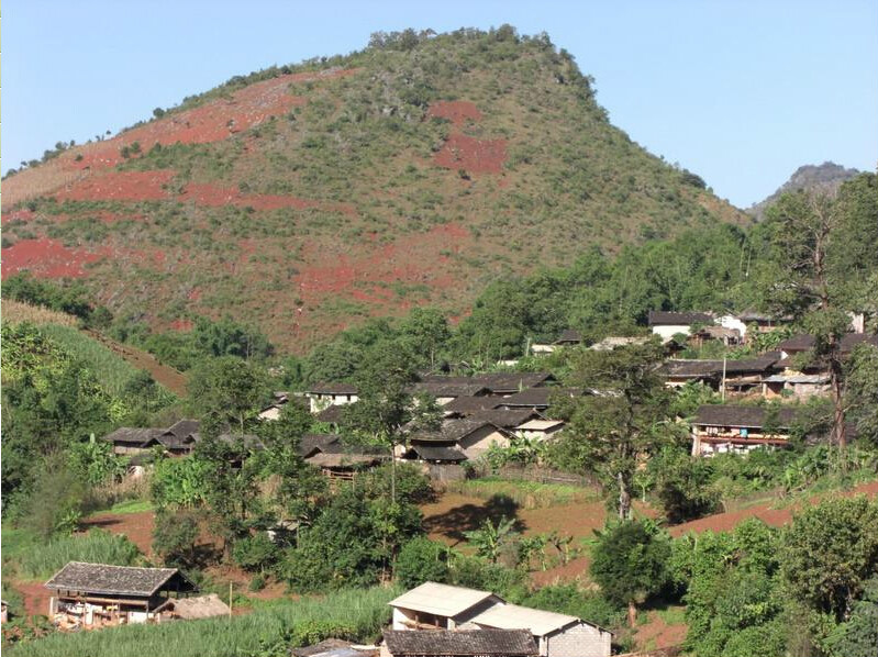 丫口村委會(雲南鎮康縣勐捧鎮)