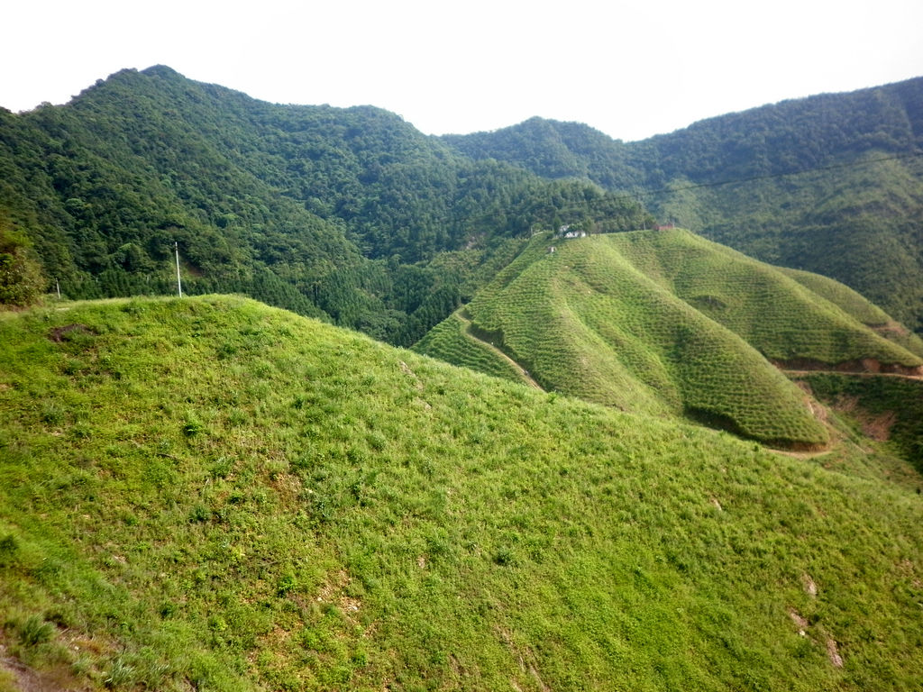 廣東花灘森林公園