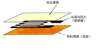 應變片構造
