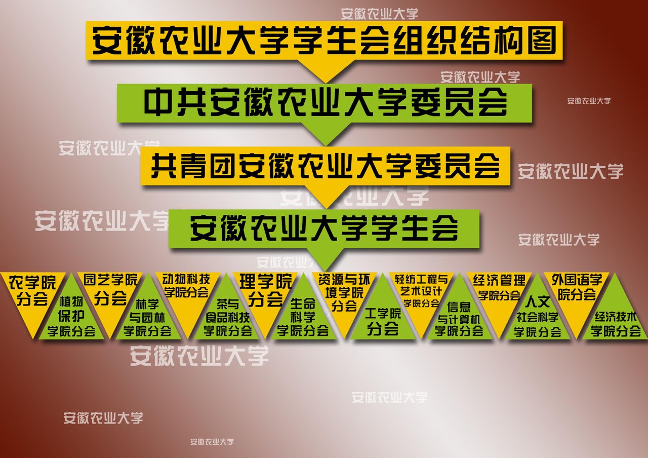 安徽農業大學學生會組織機構圖