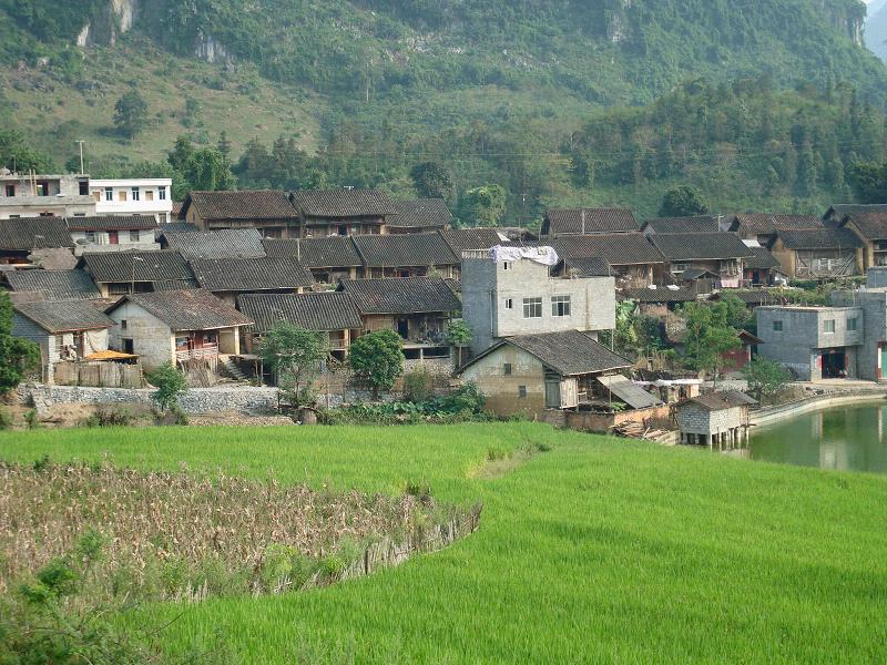 那良村(雲南省文山州富寧縣剝隘鎮下轄村)