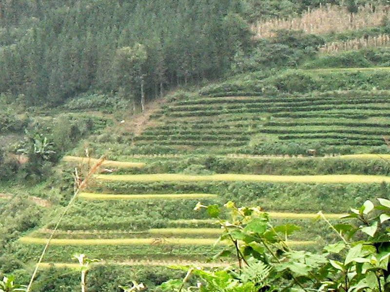 木因洞自然村