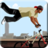 BMX Bike