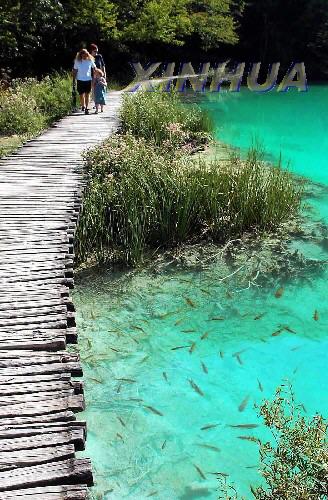 克羅地亞最著名的普利特維策湖群國家公園