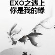 EXO之遇上你是我的緣