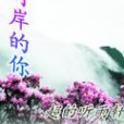 對岸的你(超的聽雨軒創作的網路小說)