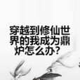 穿越到修仙世界的我成為鼎爐怎么辦？