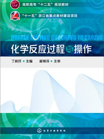 化學反應過程與操作(2015年2月化學工業出版社出版的圖書)