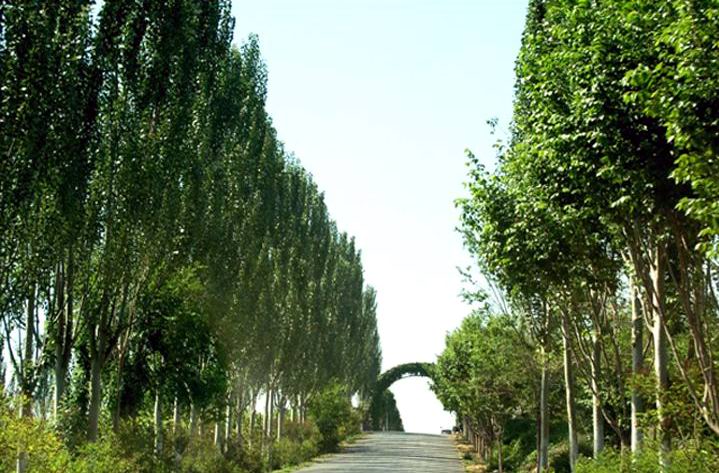 紅光山生態園