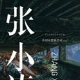 當代藝術家叢書·張小濤