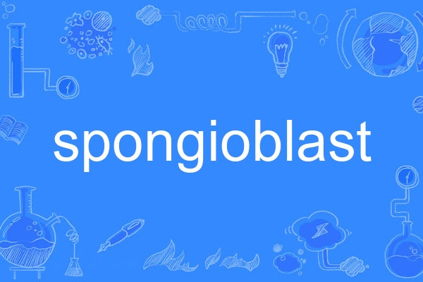 spongioblast