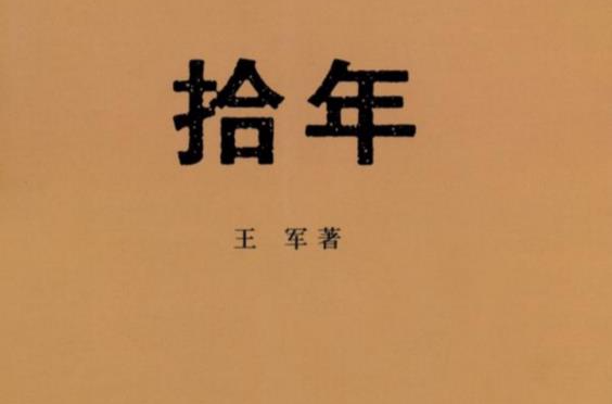 拾年(王軍所著長篇小說)