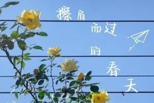 擦肩而過的春天