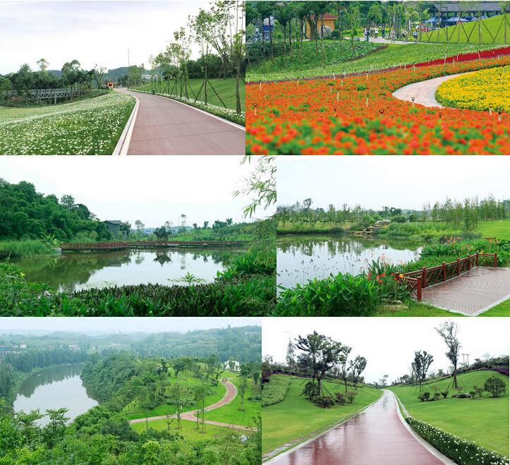 自貢市釜溪河濕地公園(釜溪河複合綠道)