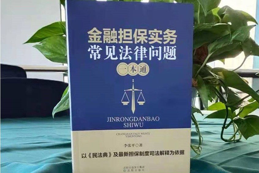 金融擔保實務常見法律問題一本通