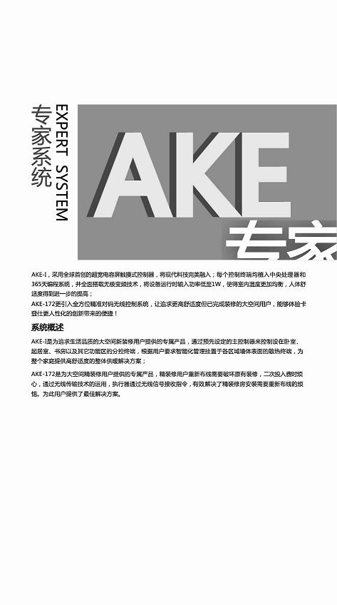 AKE專家系統