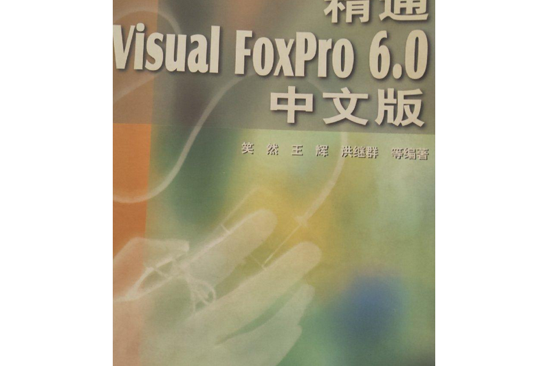 精通Visual FoxPro 6.0中文版