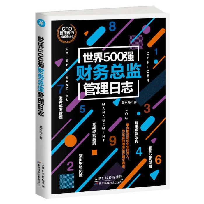 世界500強財務總監管理日誌