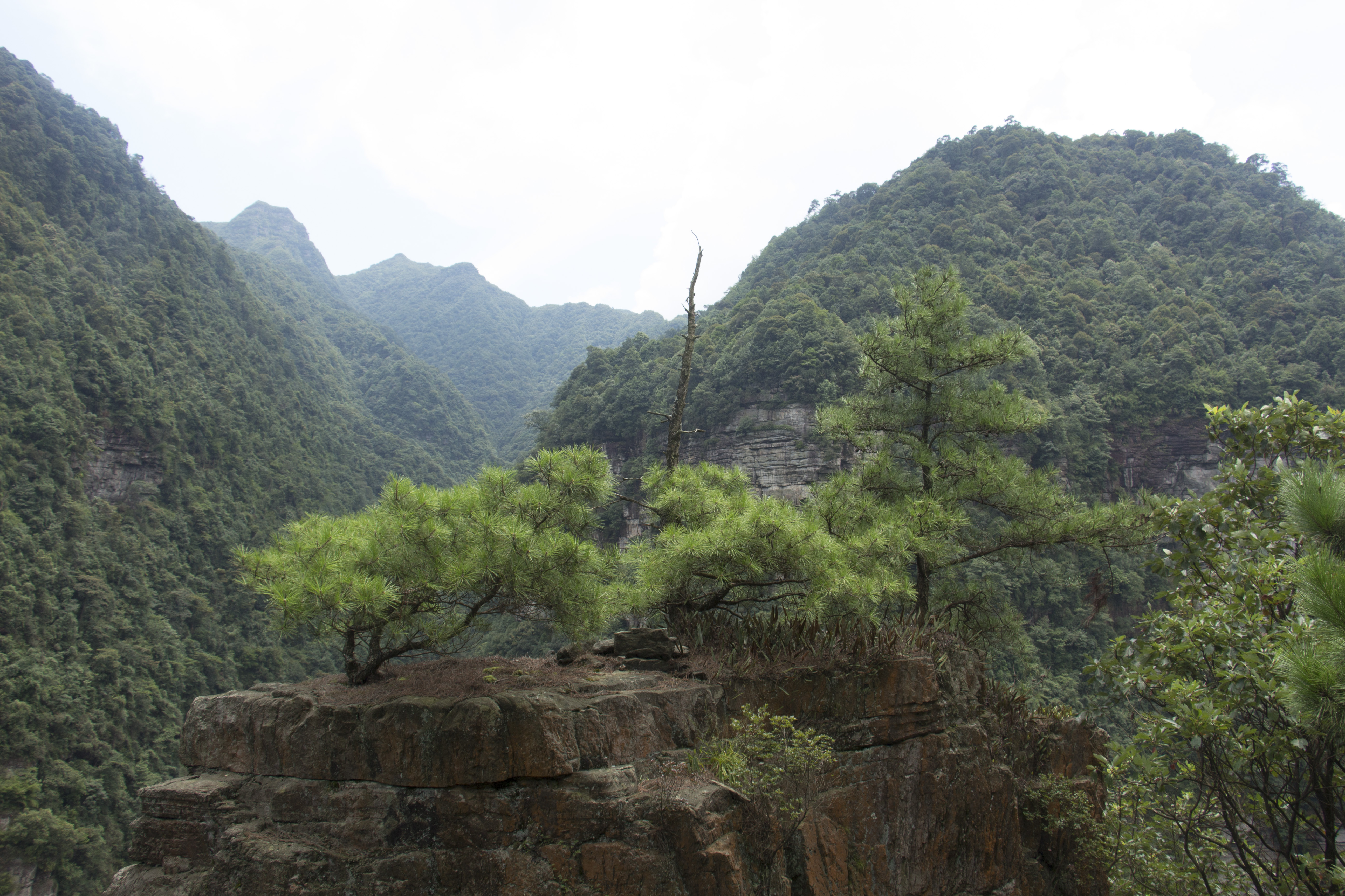 夾縫岩自然風景區