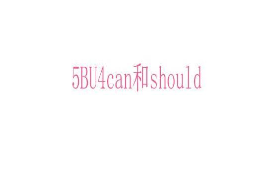 5BU4can和should