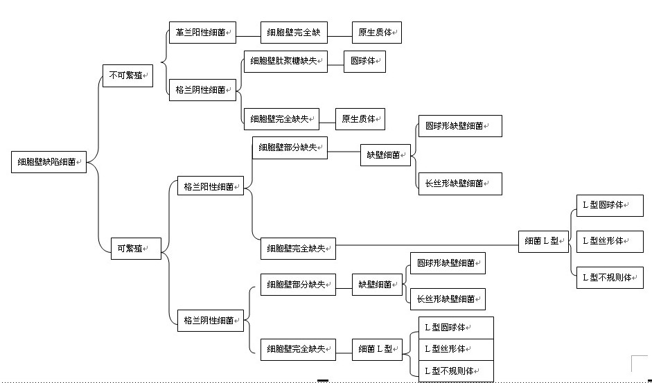 細胞壁缺陷型細菌