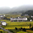 大海子村(雲南曲靖市富源縣十八連山鄉下轄村)