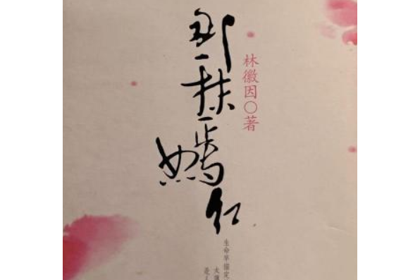 那一抹嫣紅(2007年陝西師範大學出版社出版的圖書)