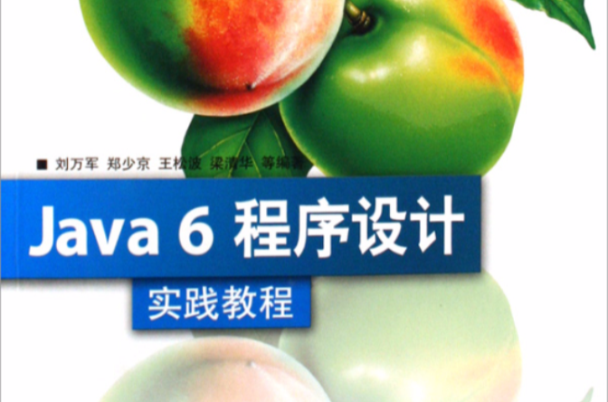 Java 6程式設計實踐教程