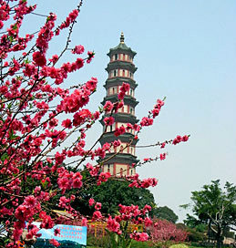 廣州番禺蓮花山旅遊區(番禺蓮花山風景區)