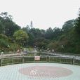 博羅東山省級森林公園