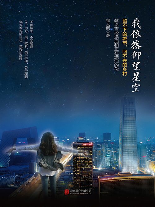 我依然仰望星空(崔天醍創作的網路小說)