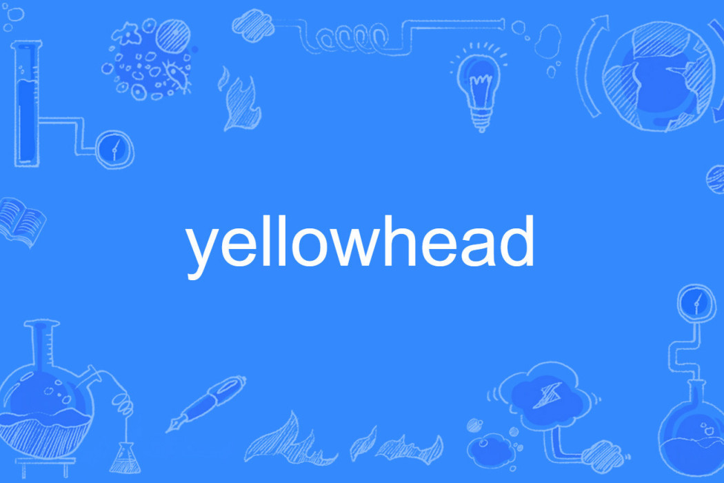 yellowhead