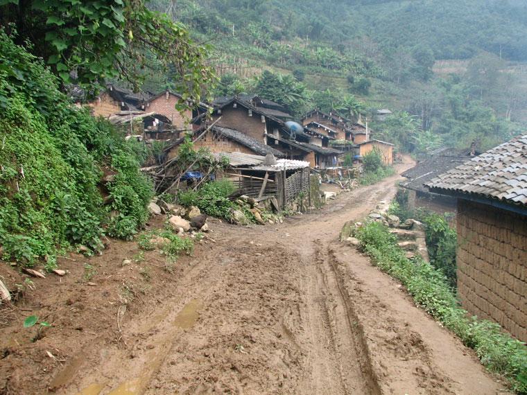 上、下龍樹自然村-進村道路