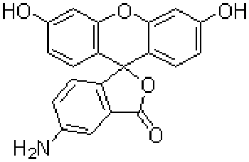 5-氨基螢光素