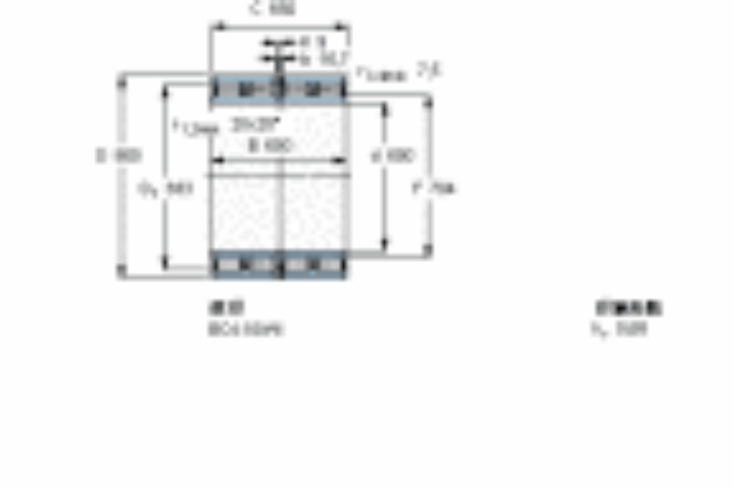 SKF BC4-8002/HA6軸承